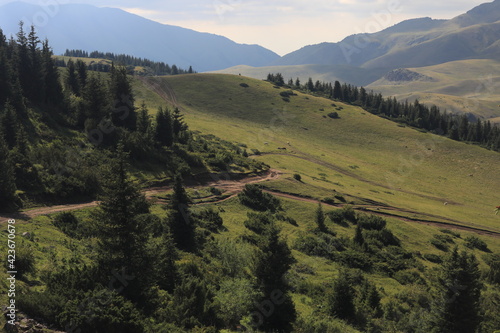  summer mountain landscape in the valley