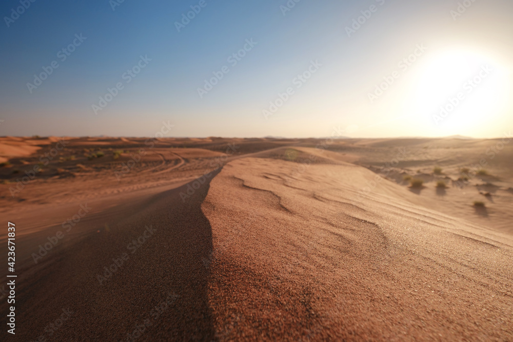 Sunset over the sand dunes in the desert. Sunset over the sand dunes in the desert.