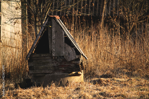 abandoned broken wooden well among tall grass, rural lifestyle