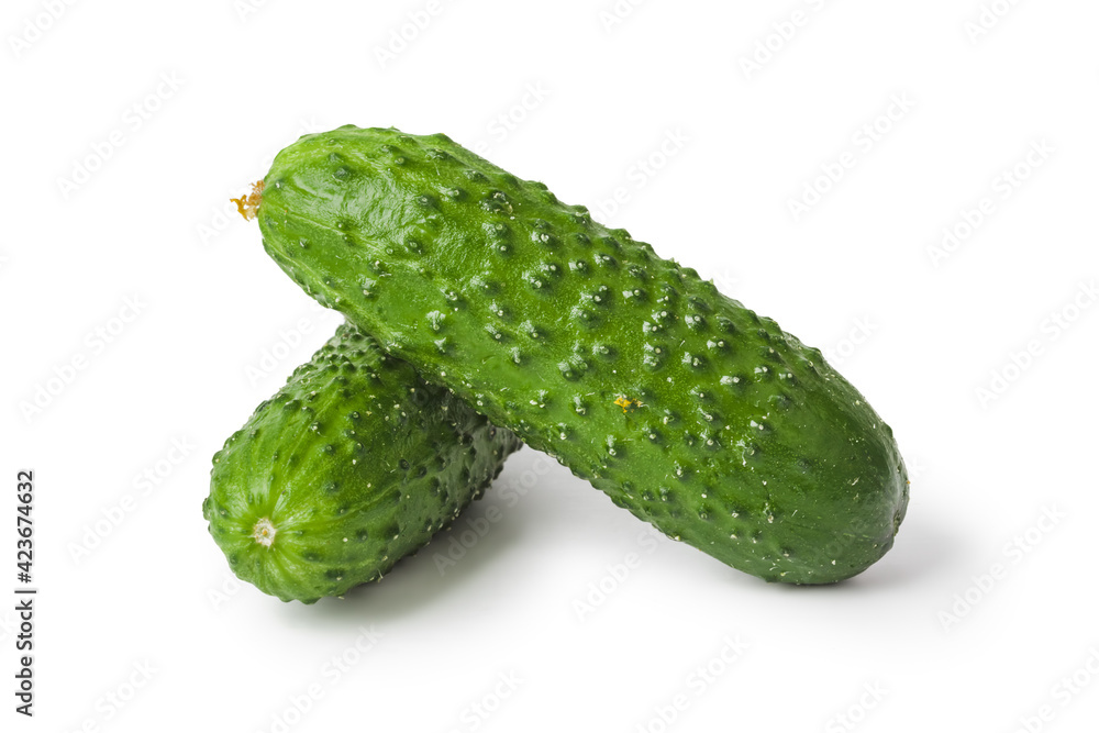 Fresh cucumbers Fresh cucumbers