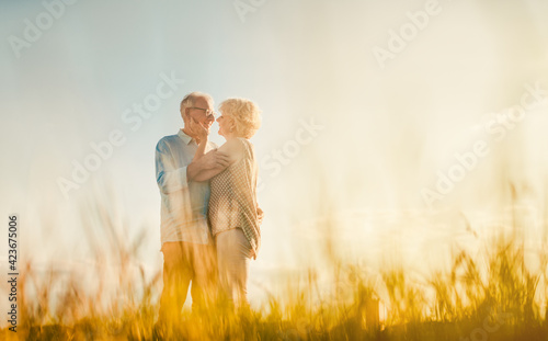 Senior couple embracing each other in love outdoors