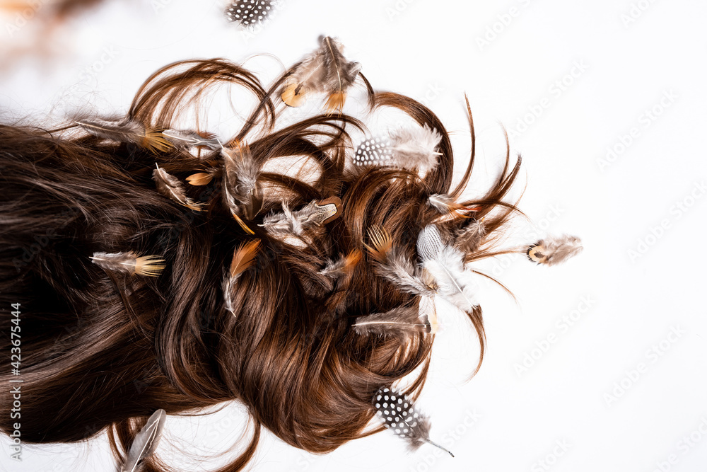 Naklejka premium Hair mixed with feathers lie on a white table