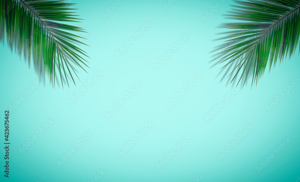 Palm leaves background. Tropical palm leaves on an empty colored background. Summer, tropics, sun, vacation concept