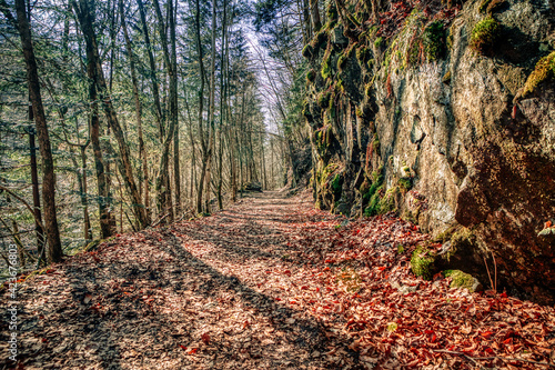 Hiking path alongside the river erlau near kellberg, Passau, lower bavaria photo