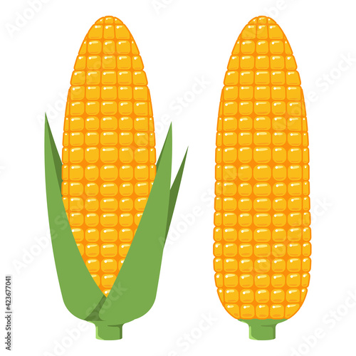 Corn cobs vector cartoon set isolated on white background.