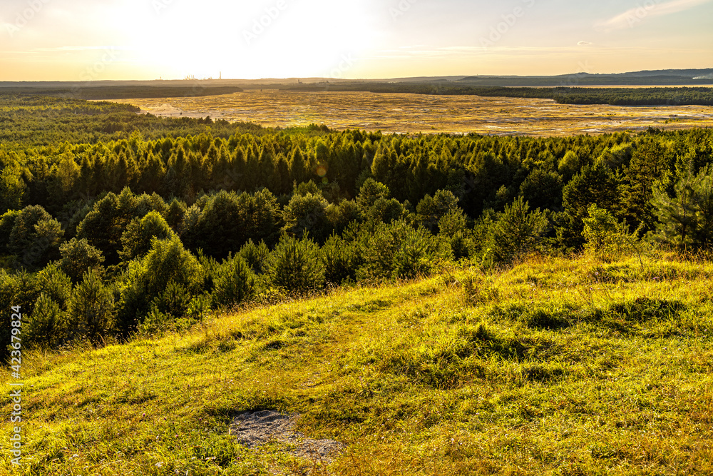 Panoramic view of Bledowska Desert plateau bush, wooded and sandy landscape at Czubatka view point near Klucze in Lesser Poland