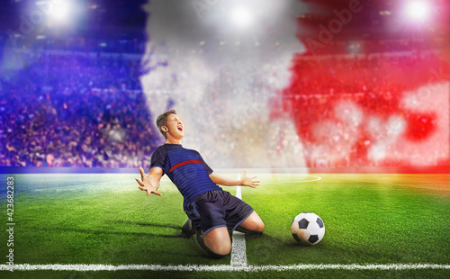 Ball on the green field in soccer stadium. Professional French Soccer Player Does Knee Slide Celebrates Awesome Victory after Scoring a Goa © Igor Link