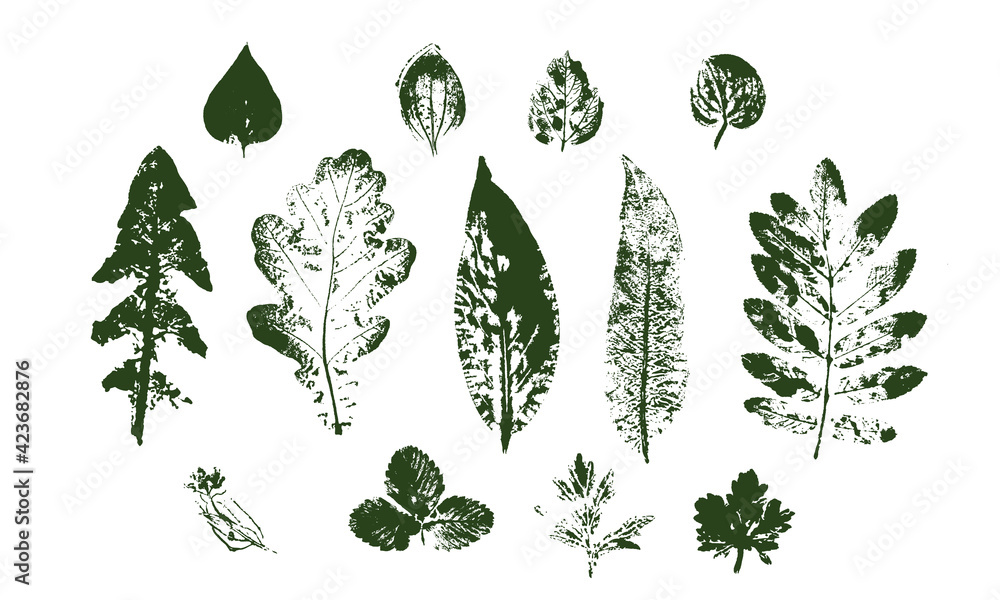 Vector Leaf print. Different black leaves stamp. Hand drawn floral elements.