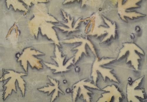Fragment of hand-dyed fabric using eco-print technique
