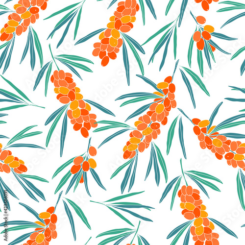 Seamless pattern with sea buckthorn on white background. Vector. Perfect for design templates, wallpaper, wrapping, fabric and textile.