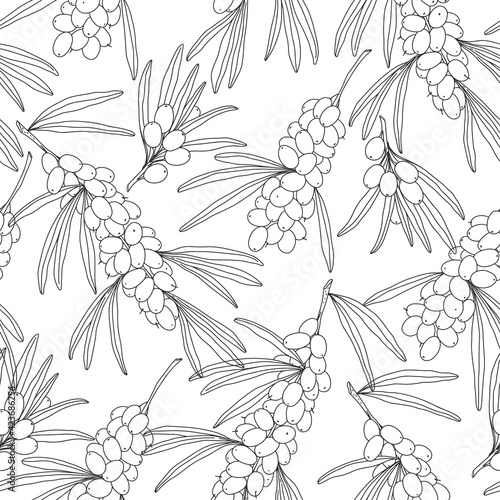 Seamless pattern with branch of sea buckthorn, berries and leaves on white. Vector. Perfect for design templates, wallpaper, wrapping, fabric and textile.