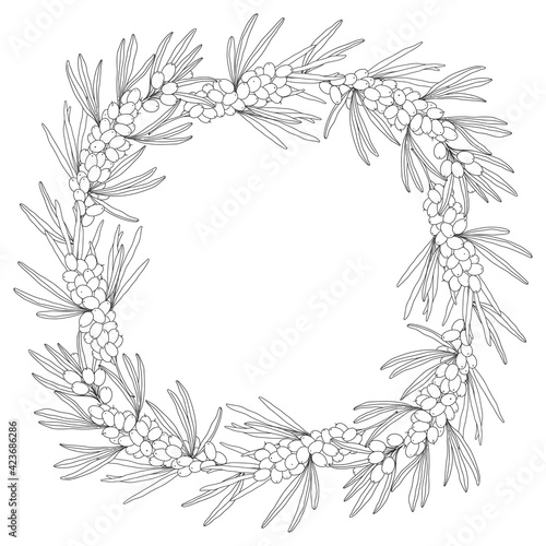 Design with sea buckthorn branches and place for text. Floral frame template. Outline drawing on white. Vector. Layout decorative greeting card or invitation design background.