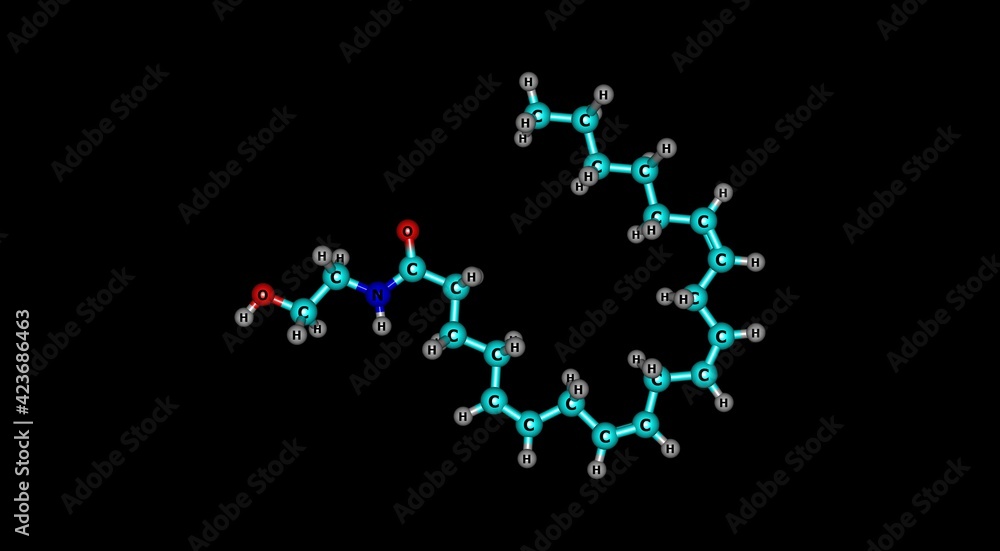 Anandamide molecular structure isolated on black