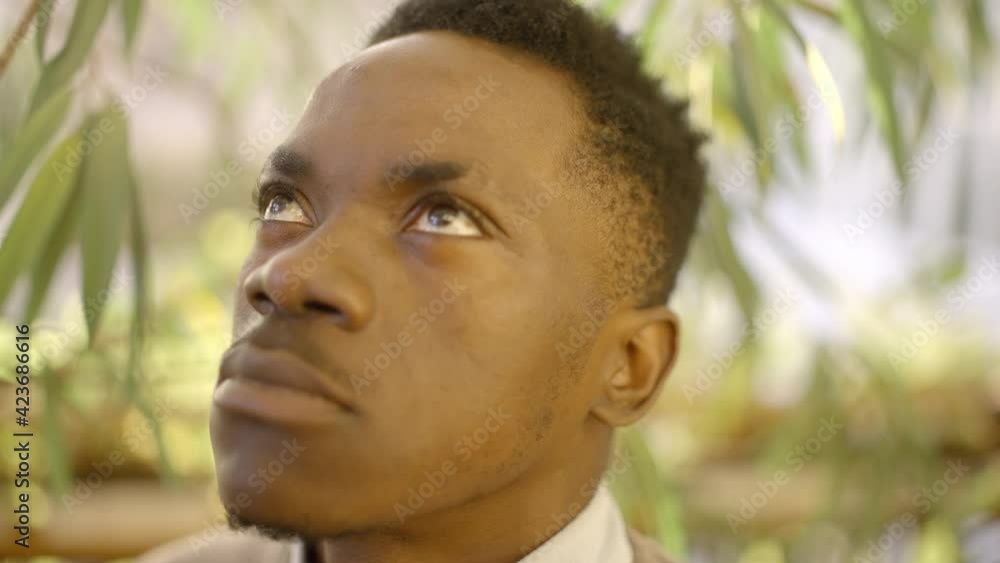 Concentrated young male standing in garden, looking up, thoughtful businessman Concentrated young male standing in garden, looking up, thoughtful businessman