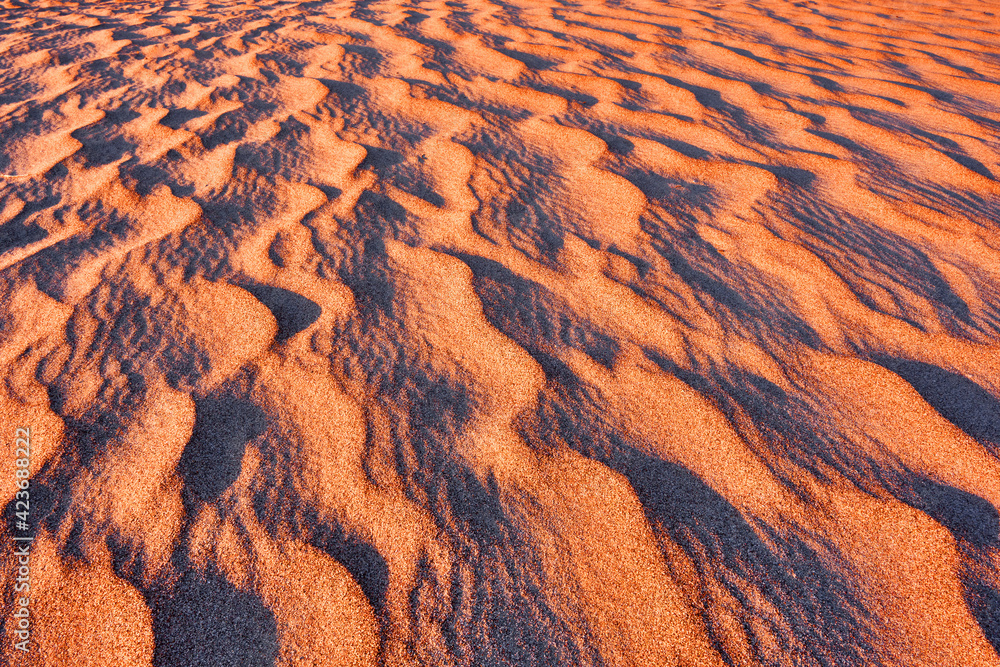Harmonious lines of sand in the desert at sunrise; bizarre wind patterns in the soft light of the rising sun - obrazy, fototapety, plakaty 