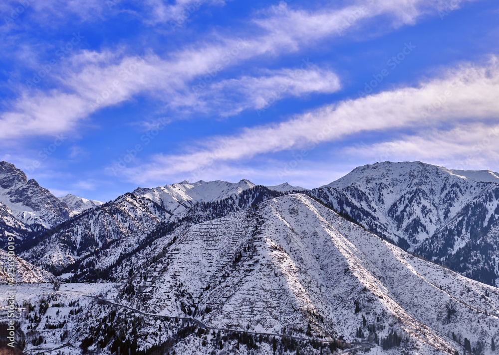 Majestic snowy mountains with fir forest on the background of blue sky with clouds in the winter season