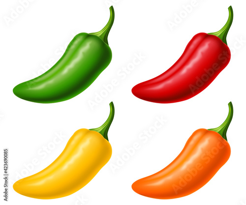 Set of jalapeño in four colors isolated on white background. Vector illustration.
