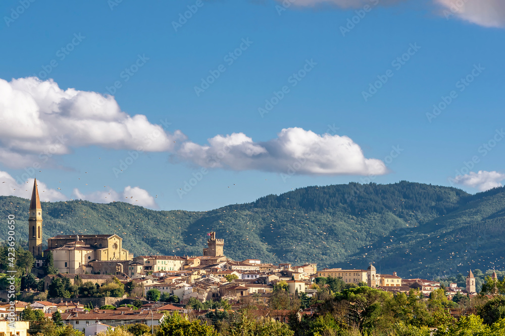 A flock of birds hovers on the blue sky above the historic center of Arezzo, Tuscany, Italy
