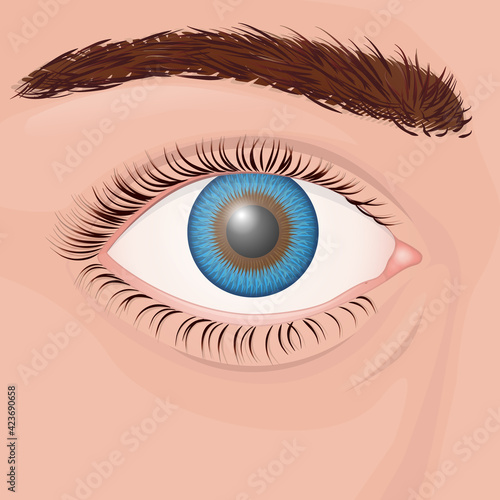 One human eye close up with blue iris