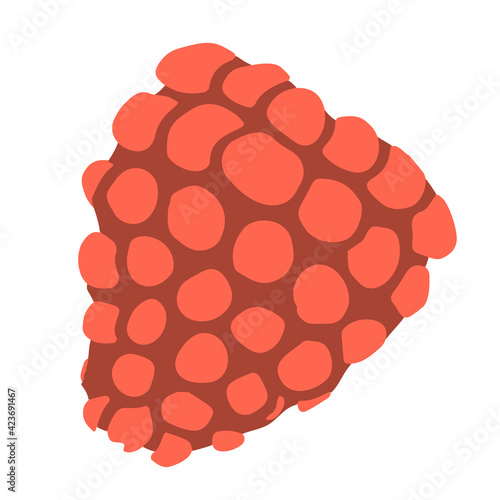 Simple red raspberry isolated on white background. Stock vector illustration