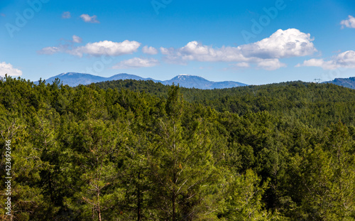 Hills with forest and mountain range on horizon.