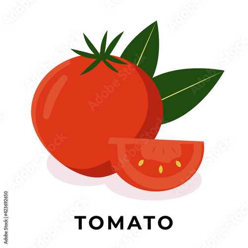 Tomato. Vector illustration with vegetable. Red tomato slice. Salads ingredient