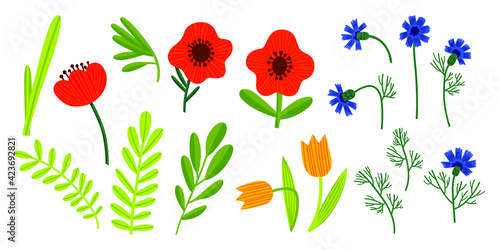 Vector set with wildflowers. Doodle illustration with poppies  cornflowers  leaves  tulips. Floral elements for creating a postcard  pattern  greeting card