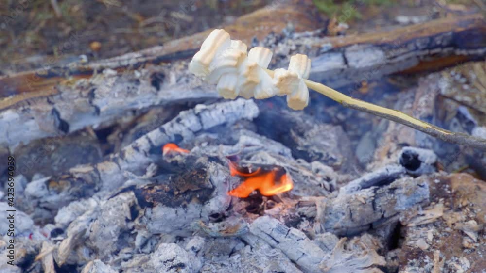 Picnic in nature - cooking marshmallows on the fire. Marshmallow on skewers roasted on charcoals. Picnic in nature - cooking marshmallows on the fire. Marshmallow on skewers roasted on charcoals.
