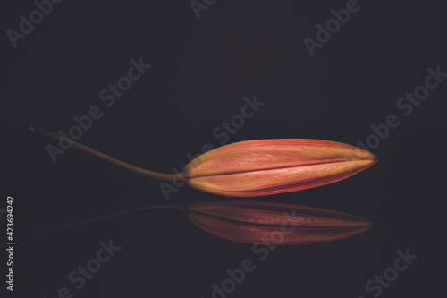 Photography is emptying the image rather than filling it.
By emptying the world visible in the square frame, the photo will be complete.