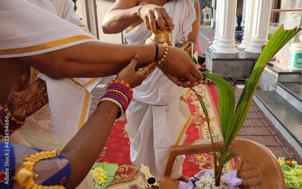 A puja worship ritual to a coconut sapling during a House warming ...