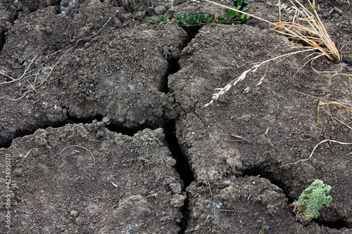 Dry-cracked, fertile land in a field