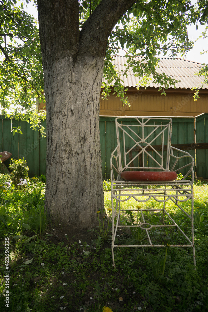 steel chair near the tree in garden, place for rest, recreation. rural scene high quality photo steel chair near the tree in garden, place for rest, recreation. rural scene high quality photo