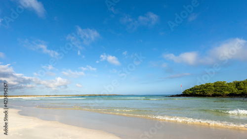 Tortuga Bay on the Santa Cruz Island, popular beach close to Puerto Ayora, Galapagos