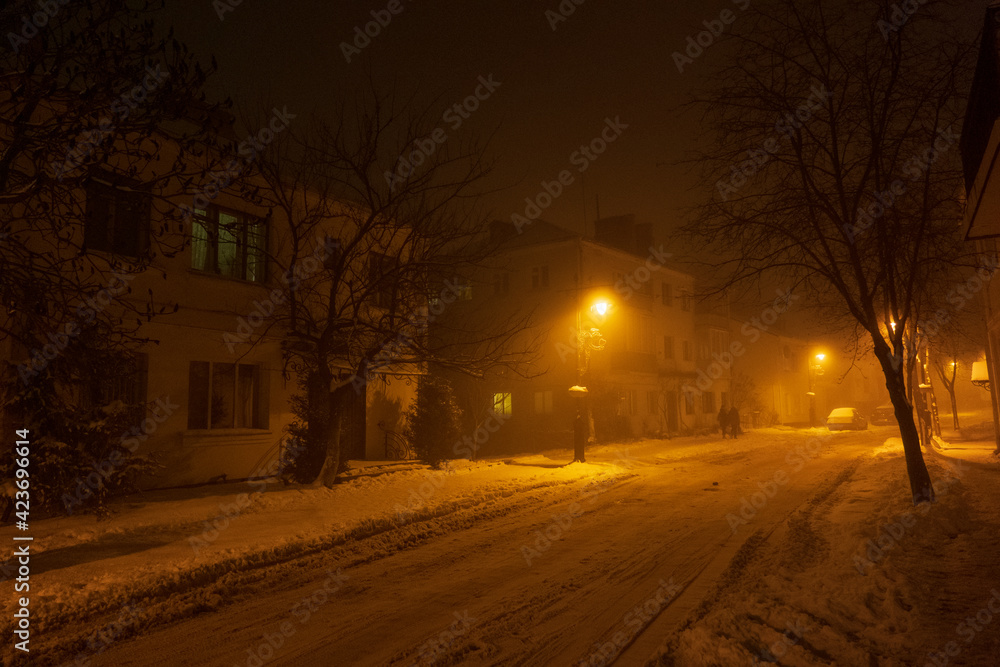The city lights in a winter town. Foggy and snowy weather. Trees with white frost