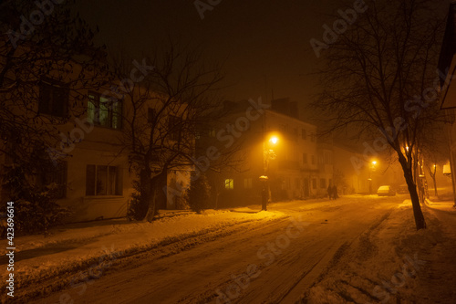 The city lights in a winter town. Foggy and snowy weather. Trees with white frost