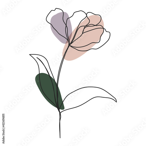 flower Line art background. Abstract minimal flower design for cover, prints, floral wall art, Home decor picture, fabric and wallpaper. Vector illustration