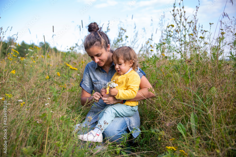 Fototapeta premium mom and daughter toddler collect a bouquet of wildflowers flowers yarrow close-up