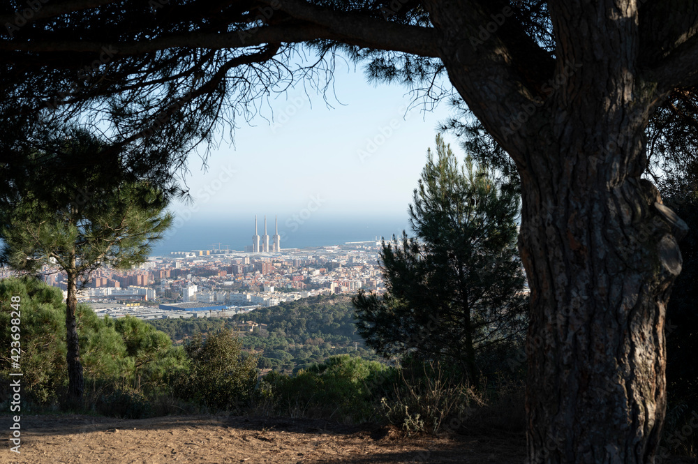 Urban landscape of the city of Barcelona from the park
