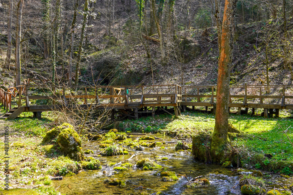 A wooden walkway with a brigde crossing a small stream in a wooded area.
A wooden walkway with a brigde crossing a small stream in a wooded area.