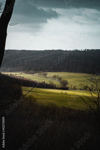 Contrastful dark spring weather and countryside view with green spring growing agriculture fields with minimal trees. Bright sunlight on the meadows with dark shadows photo