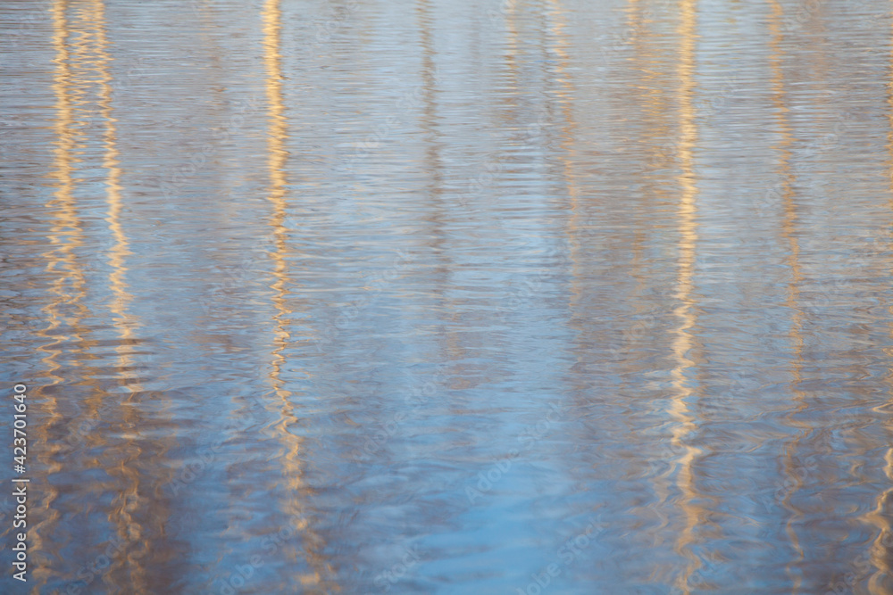 image of water tree reflection image of water tree reflection