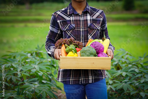 Young Asian man farmer with freshly picked vegetables in basket. © 15Studio