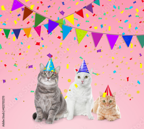 Adorable cats with party hats on pink background