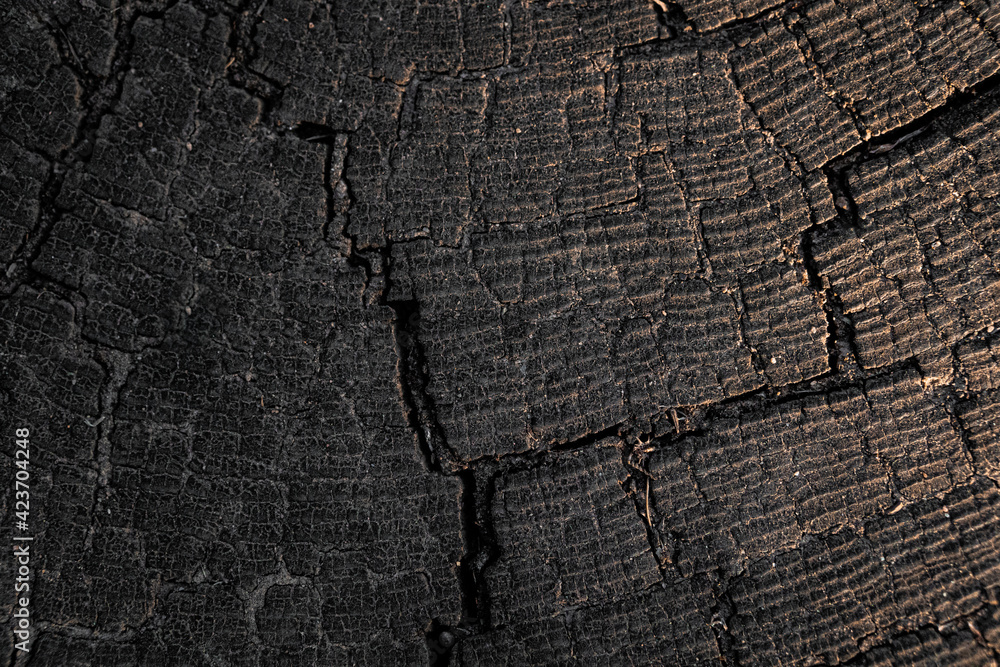 Fototapeta premium Old wood texture