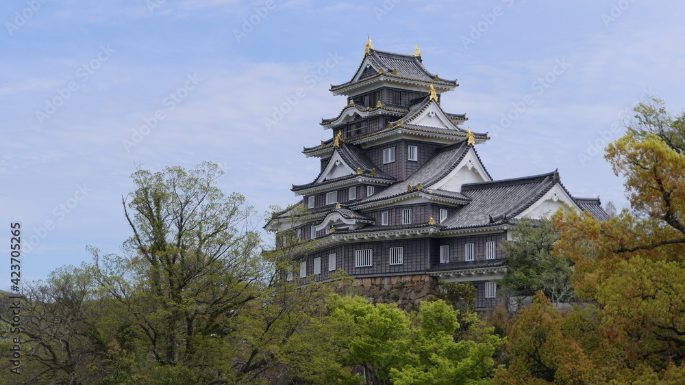 Okayama castle japan