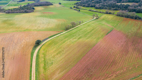 aerial view of countryside field