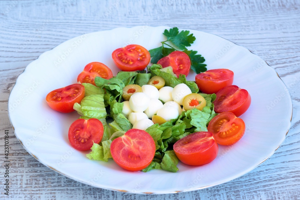 salad with tomatoes and mozzarella salad with tomatoes and mozzarella