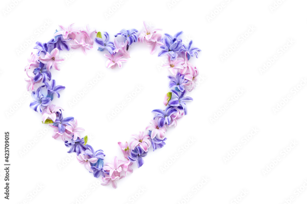 Heart symbol made of fresh hyacinth flowers isolated on white background. Flat lay, top view, copy space