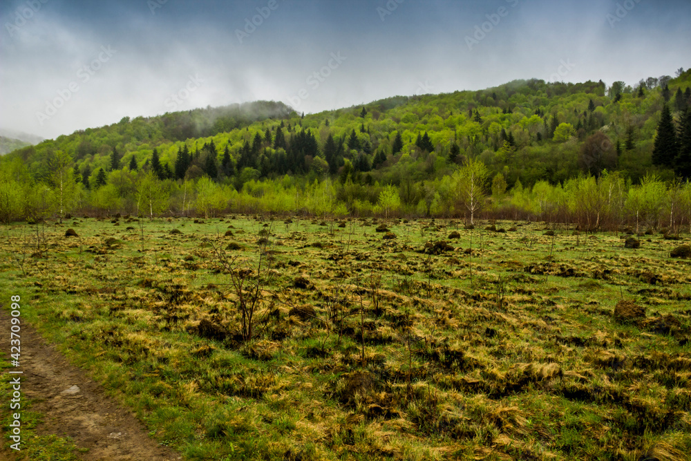 a forest road and landscape of the carpathian mountains, national park Skolivski beskidy, Lviv region of Western Ukraine