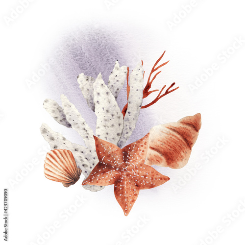 Ocean composition, sea corals and shells, watercolor illustration